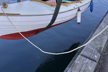 489539109_1126478382611219_5974777290085647195_n